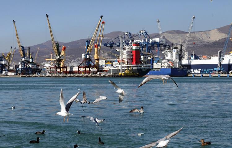 Минтранс прогнозирует  российским портам колоссальные мощности