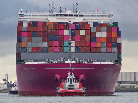 Более 370 контейнеровозов простаивают в очередях по всему миру