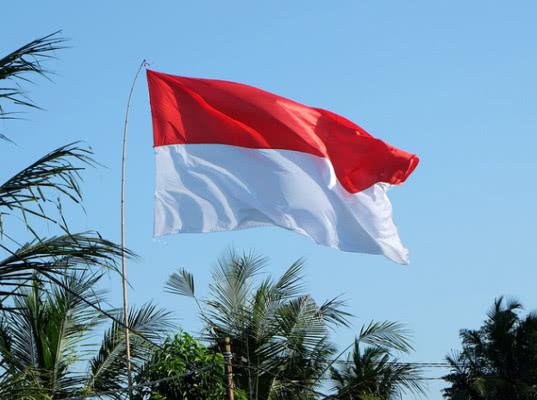 Индонезия ищет решения проблем с логистикой для экспорта в Россию