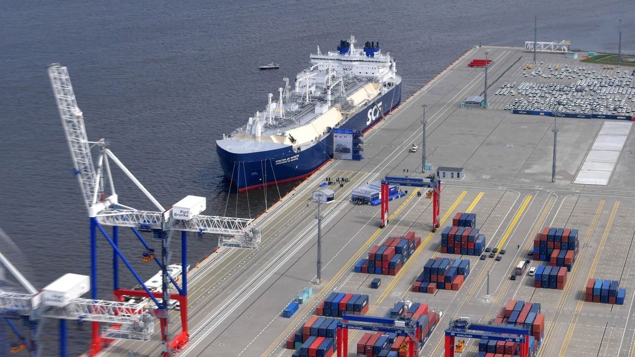 Известны сроки смены собственника петербургского порта «Бронка»
